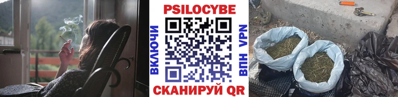 Псилоцибиновые грибы Psilocybine cubensis  mega как войти  Феодосия  где купить наркотик 